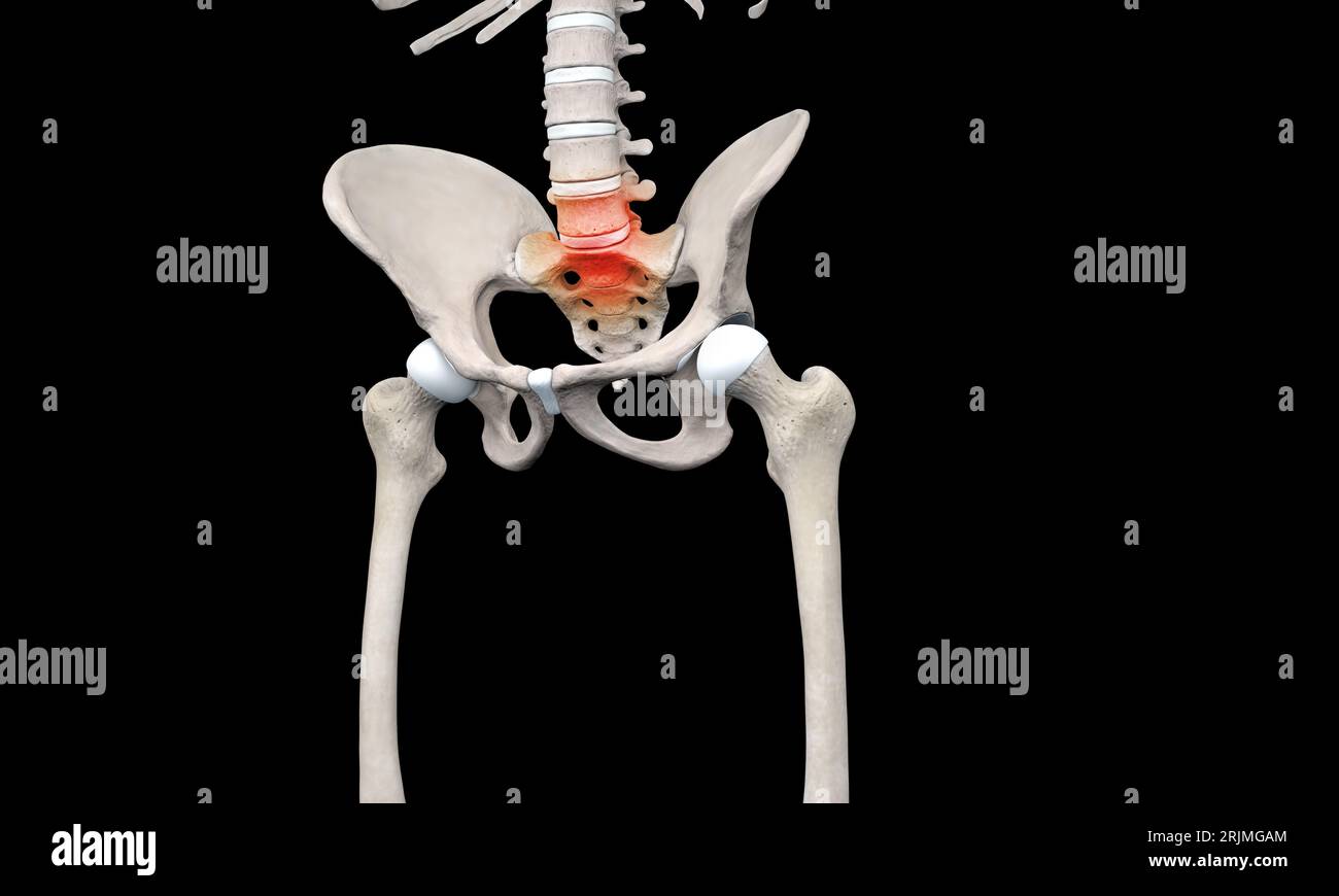 Anatomia della colonna vertebrale umana. Mal di schiena e mal di schiena Foto Stock