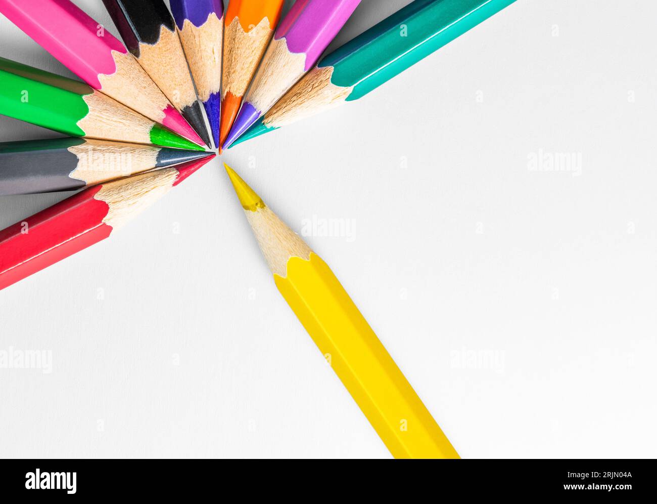 Composizione creativa di matita con matite a forma di fiore su sfondo bianco. Foto Stock