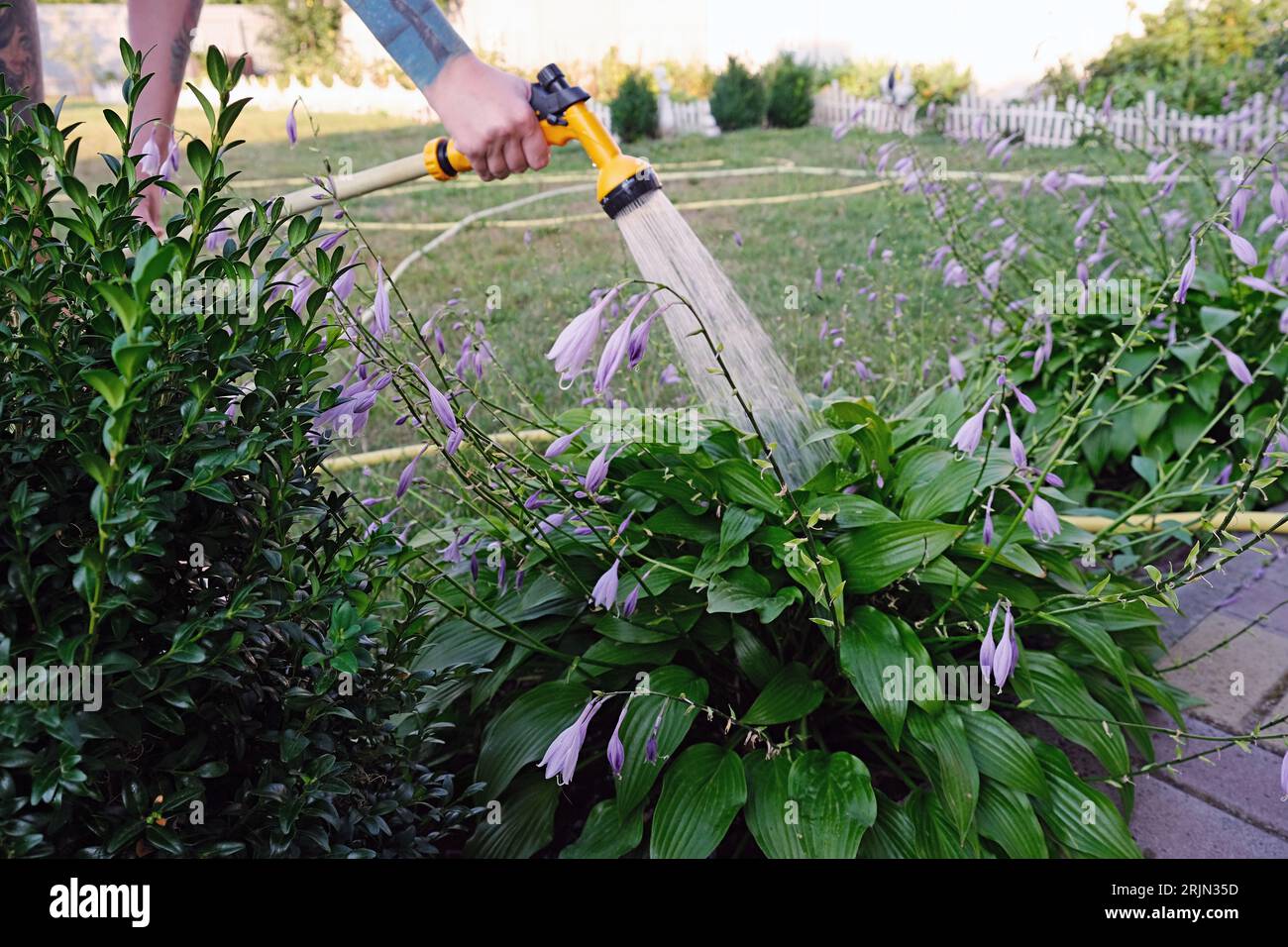 Garden work. Watering flowers. woman watering the garden Foto Stock