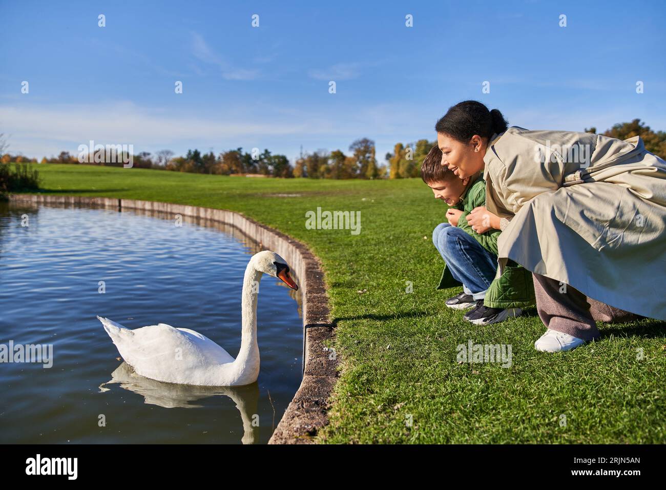 paesaggio, autunno, donna e ragazzo afro-americani che guardano il lago con cigno bianco, infanzia, natura Foto Stock