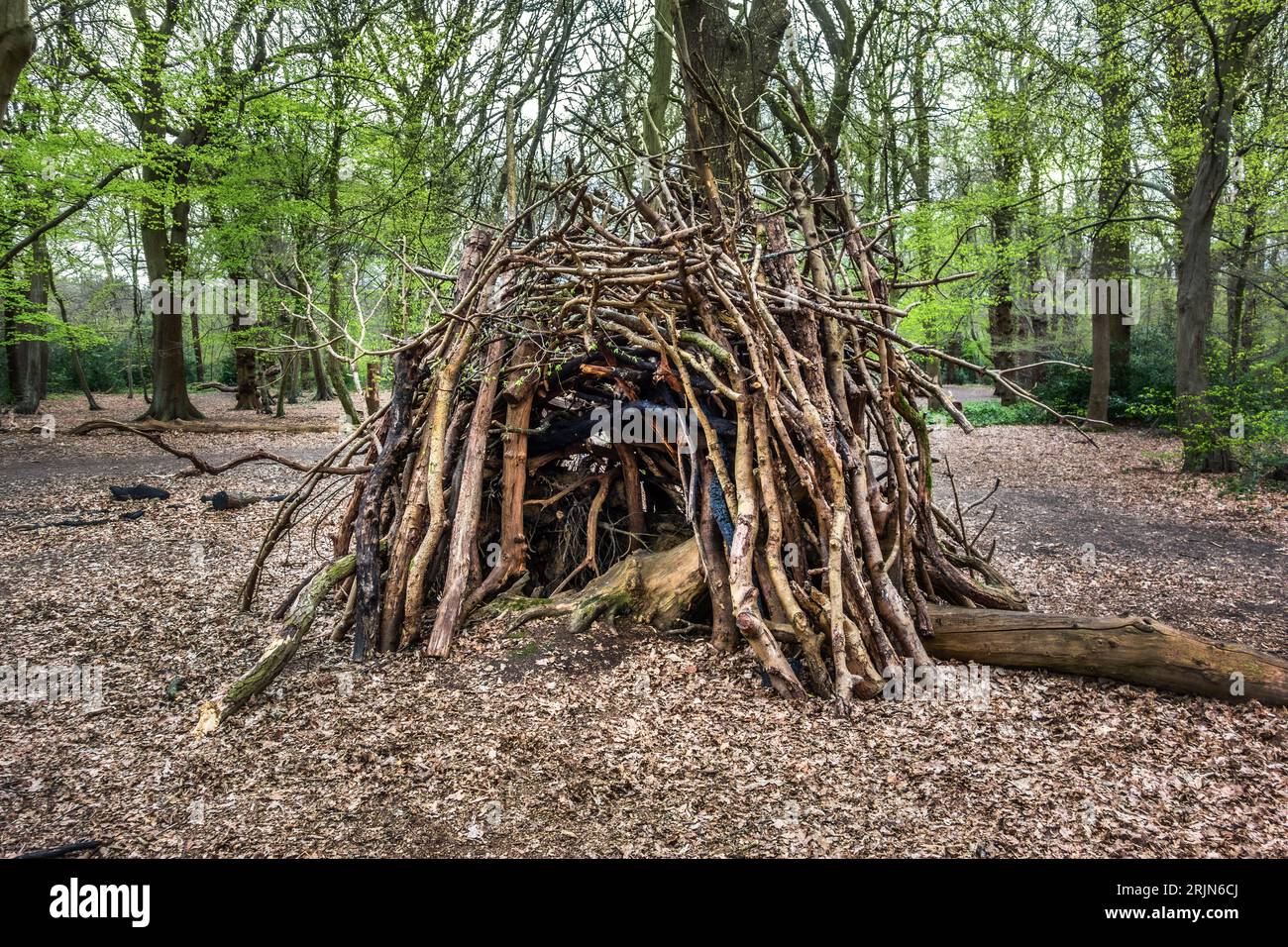 Rifugio forestale fatto di vecchi ramoscelli e rami, Elmstead Woods Chislehurst, Bromley Foto Stock