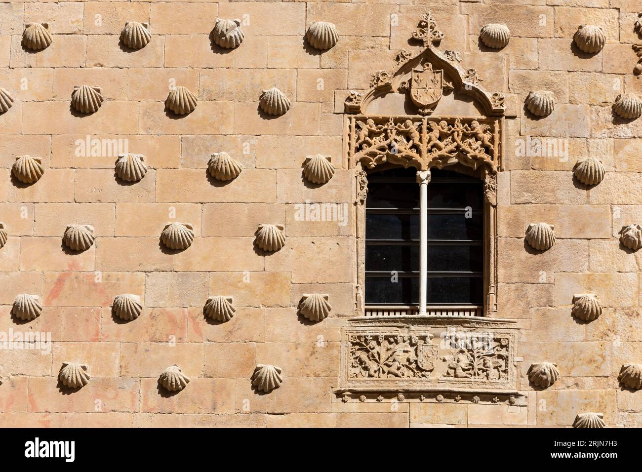 Casa de las Conchas a Salamanca, Spagna, facciata decorata con sculture a conchiglia, stile gotico, finestra con stemma. Foto Stock