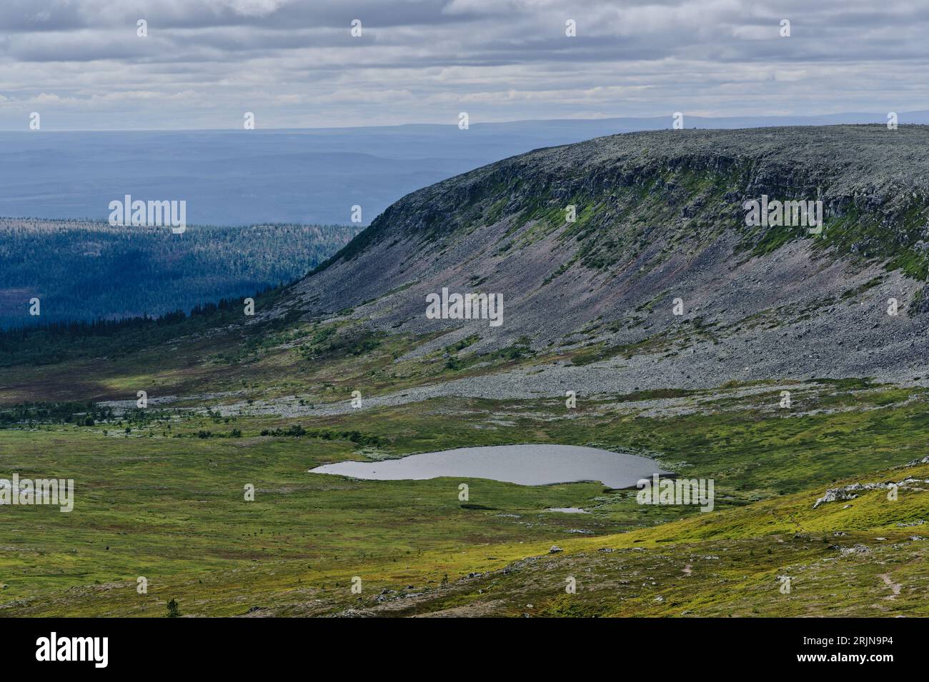 Maestosa montagna Molnet Nipfjallet con scogliera rocciosa ripida grigia in una valle verde e vicino a un lago nella natura selvaggia svedese. Foto Stock