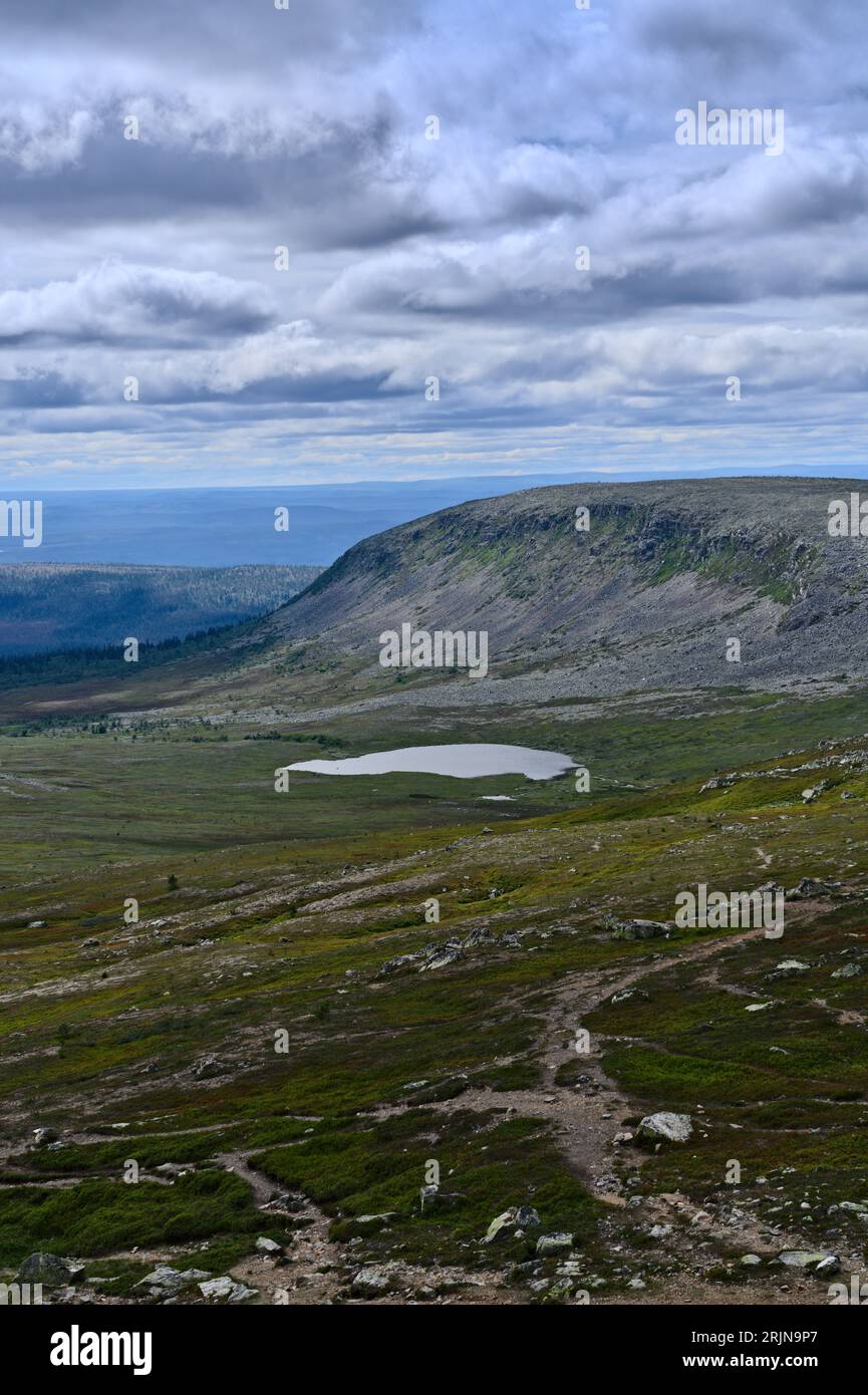 Tundra verde e aperta in una valle vicino a un lago e a una montagna sullo sfondo nella natura svedese selvaggia nordica a Idre Dalarna in Svezia Foto Stock