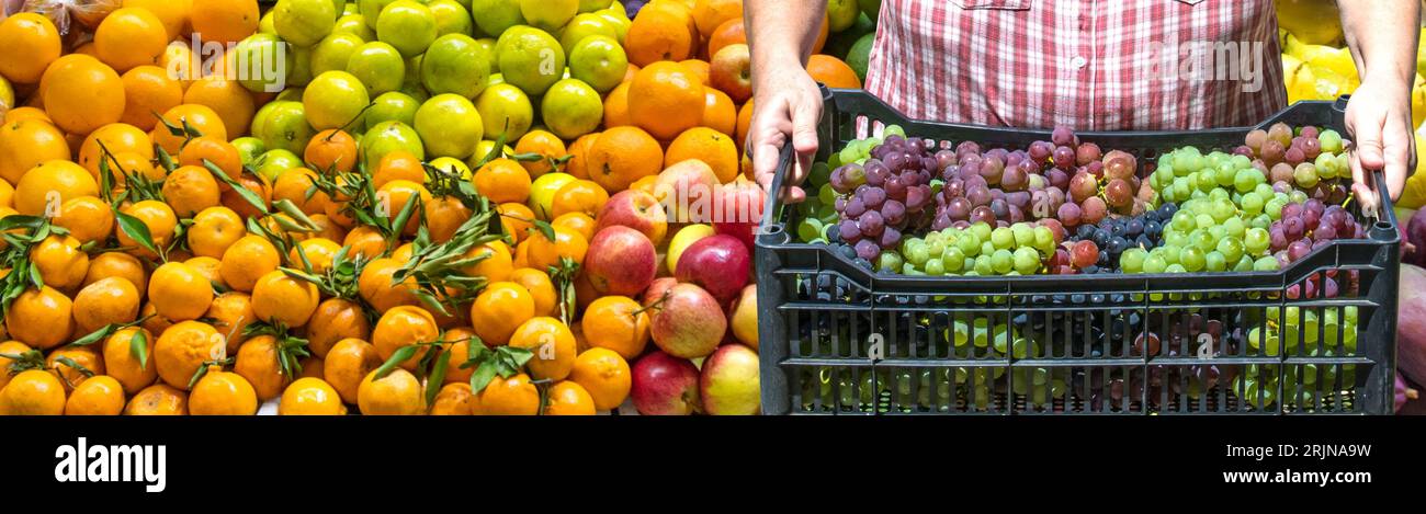 Una persona che porta con sé un cesto di uva appena raccolta in un mercato di frutta tropicale Foto Stock