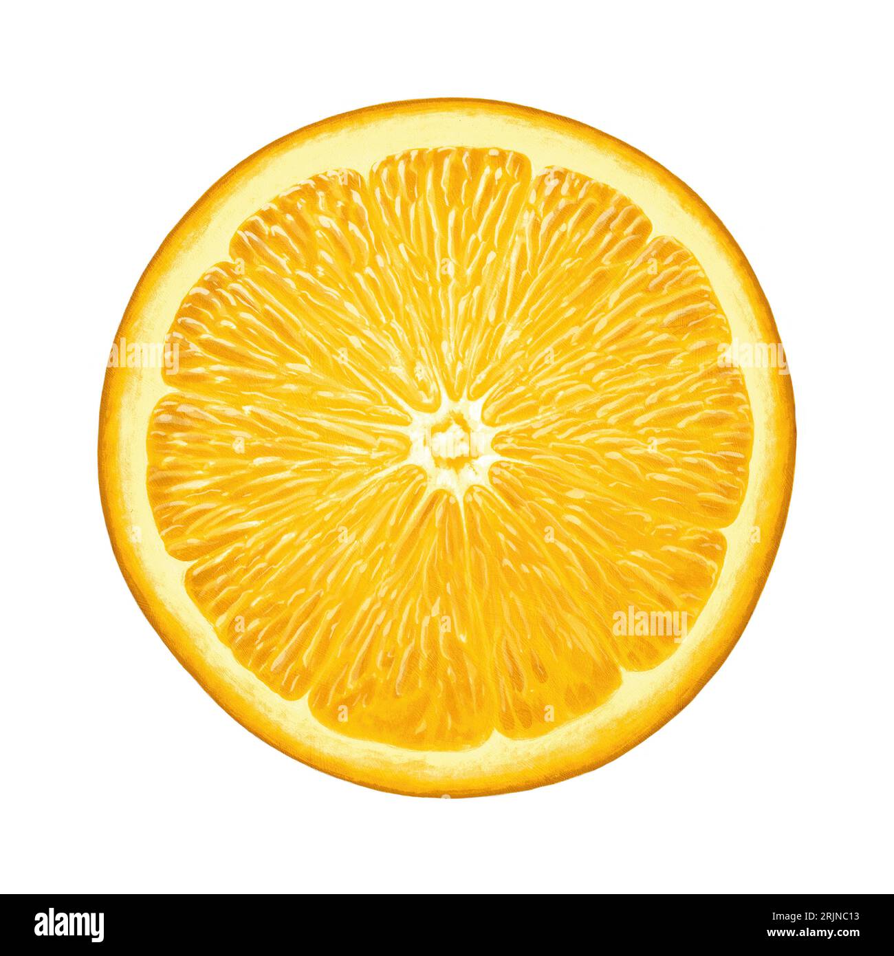 Arancione illustrato isolato Foto Stock