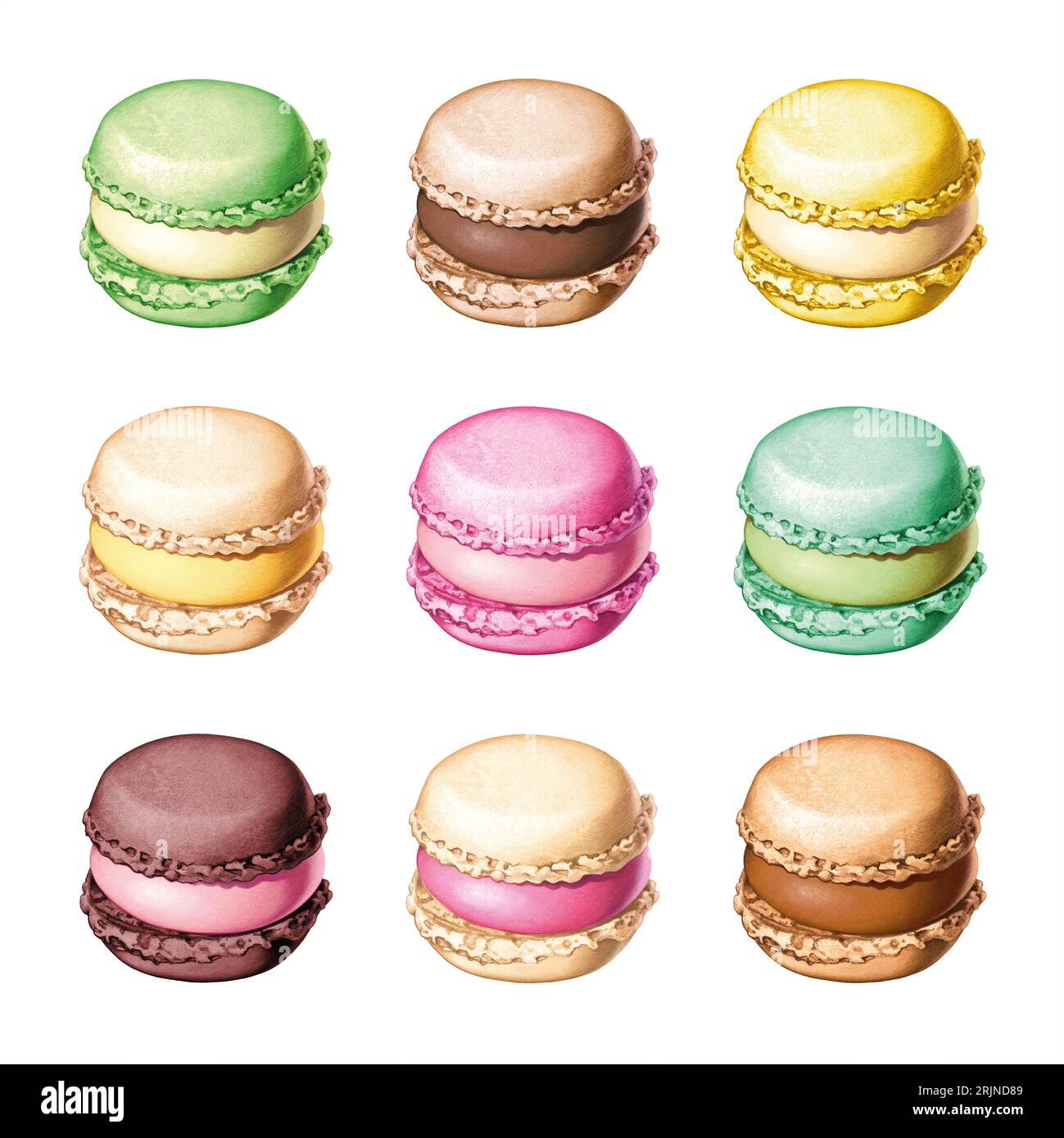 Illustrazione francese Macron/Luxemburgeli Foto Stock