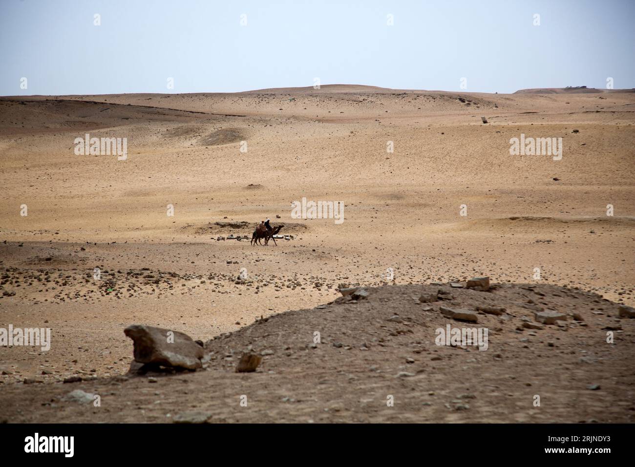 Due uomini su un cammello in Egitto nel deserto del Cairo vicino alle piramidi di Giza Foto Stock