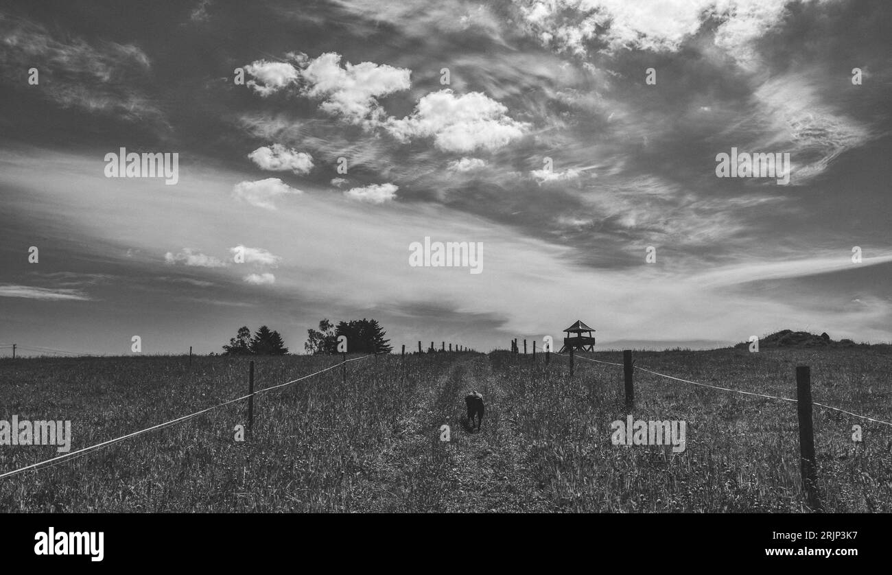 Bellissime nuvole, Repubblica Ceca, bianco e nero Foto Stock
