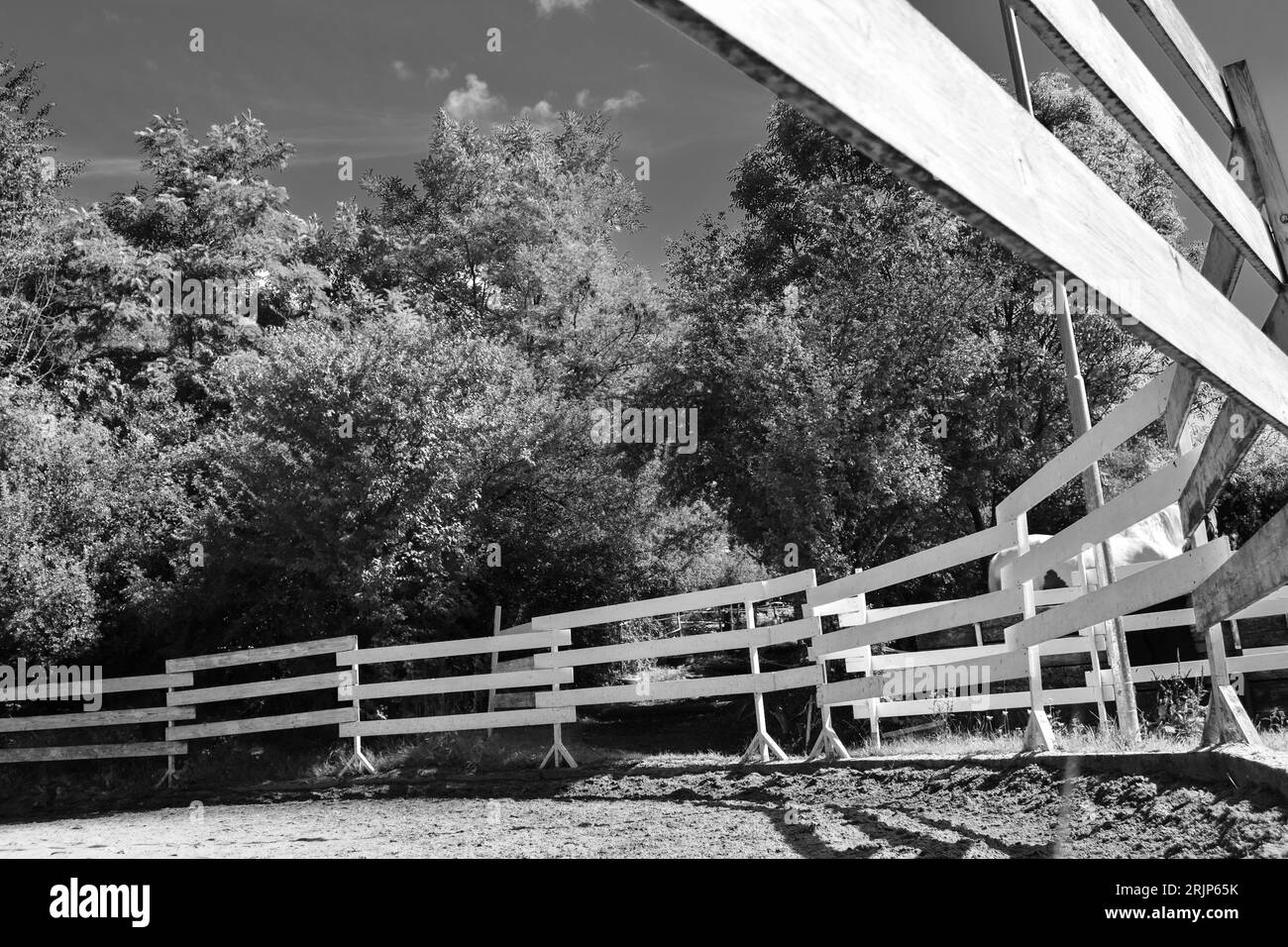 corral per cavalli dal basso bianco e nero Foto Stock