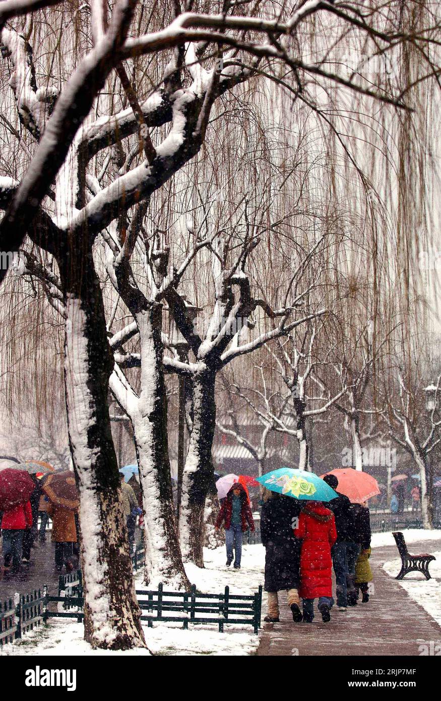 Bildnummer: 51116458 Datum: 18.02.2006 Copyright: imago/Xinhua Fußgänger im Schnee - Hangzhou PUBLICATIONxNOTxINxCHN, Personen; 2006, Hangzhou, Chinesen, cinese, Schirm, Schirme, Regenschirm, Regenschirme; , hoch, Kbdig, Winter, Jahreszeit, totale, Cina, Foto Stock