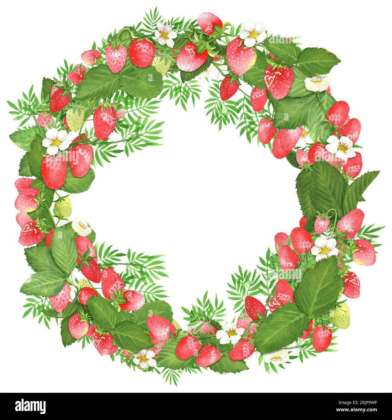 Illustrazione ad acquerello disegnata a mano. Corona decorativa rotonda con fragole rosse succose, foglie verdi e rami di felce Foto Stock