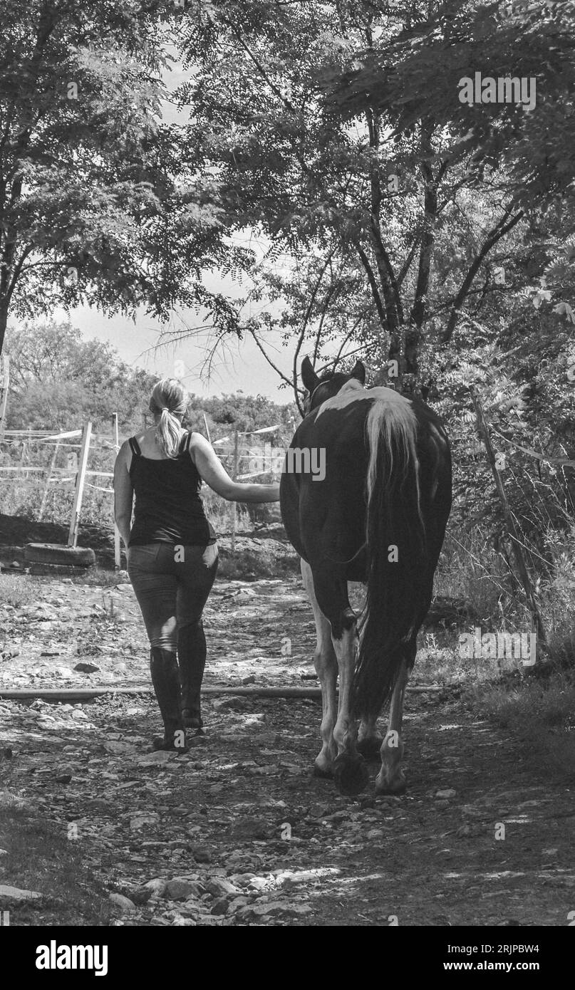 Ragazza con cavallo, dopo l'equitazione, dettaglio, bianco e nero, Praga, Repubblica Ceca Foto Stock