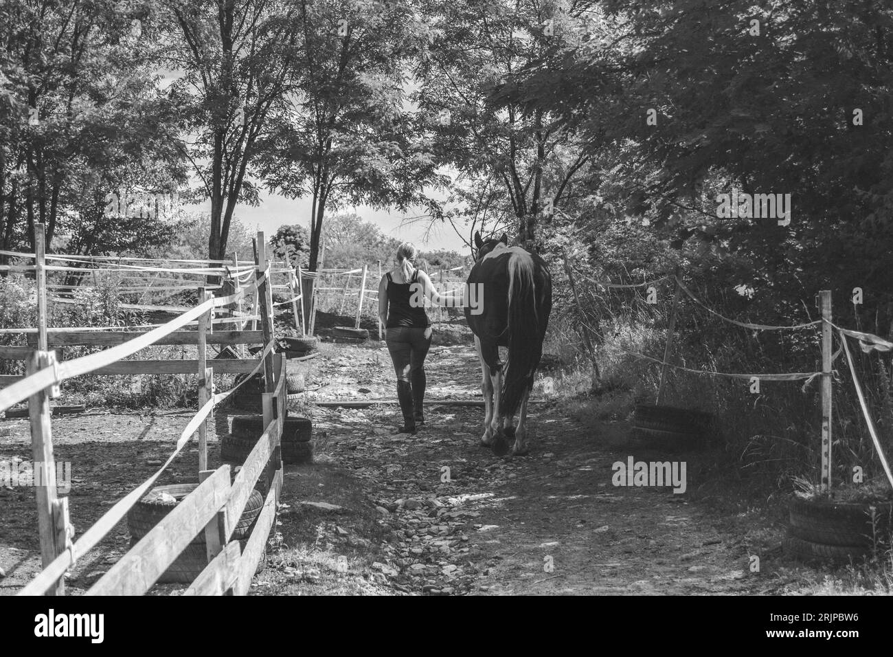 Ragazza a cavallo, dopo l'equitazione, bianco e nero, Praga, Repubblica Ceca Foto Stock