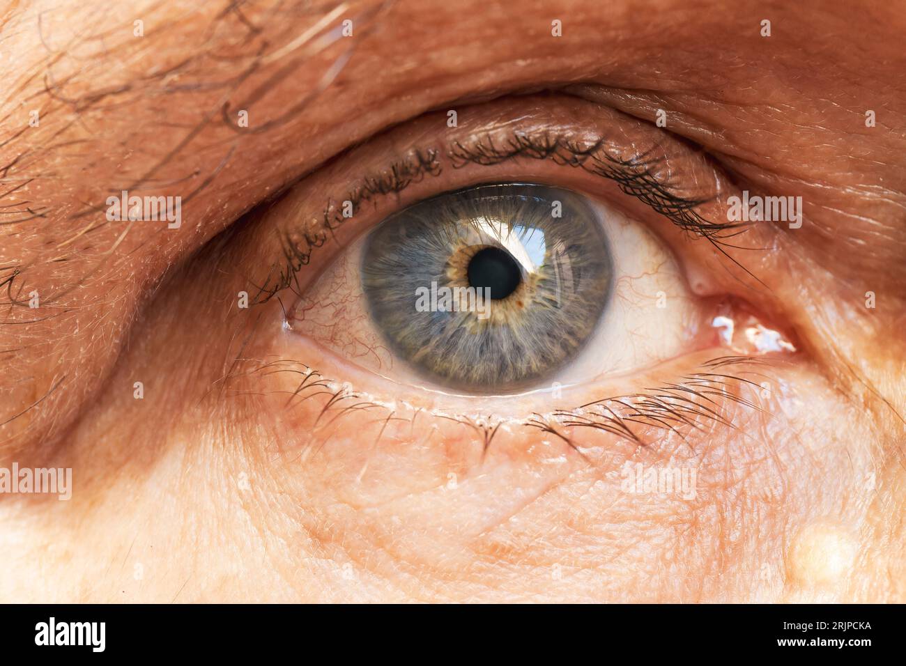 Un primo piano di un anziano occhio blu con un anello dorato intorno all'iride Foto Stock