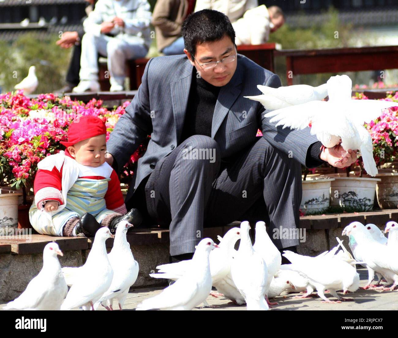 Bildnummer: 51154522 Datum: 16.03.2006 Copyright: imago/Xinhua Chinese sitzt mit seinem Sohn auf einem Platz in der Sonne und spielt mit Weißen Tauben - Taizhou - PUBLICATIONxNOTxINxCHN, Personen; 2006, Taizhou, Hanzhou, Mann, Männer, kind, Kinder, Söhne, Kleinkind, Chinese, Chinesen, Einheimischer, Einheimische, Taube, Weiß, weiße, spielen, Frühling; , quer, Kbdig, Frühjahr, Jahreszeit, Gruppenbild, Cina, / alleinerziehender, alleinerziehend Foto Stock