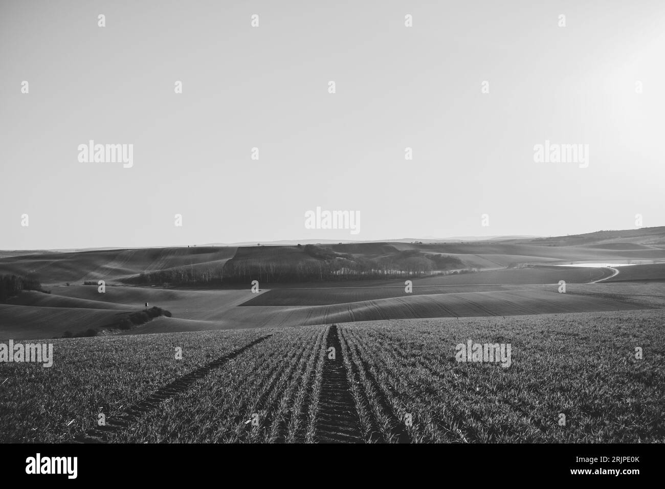 Moravian Tuscany 4, bianco e nero, Moravia meridionale, Repubblica Ceca Foto Stock