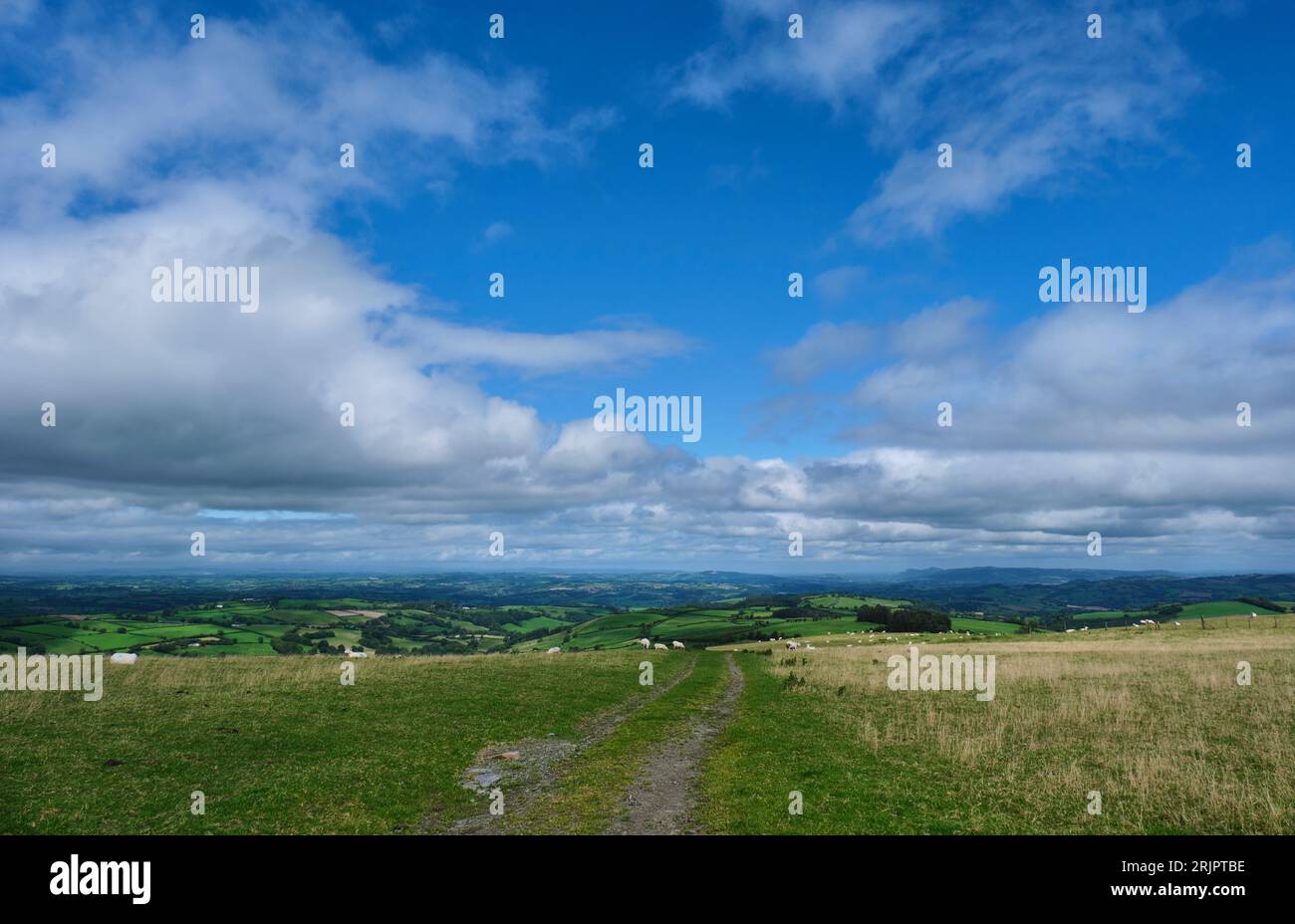 Guardando la valle di Kerry e la valle di Severn dal Kerry Ridgeway vicino al Two Tumps Viewpoint, Kerry Ridgeway, Powys, Galles Foto Stock