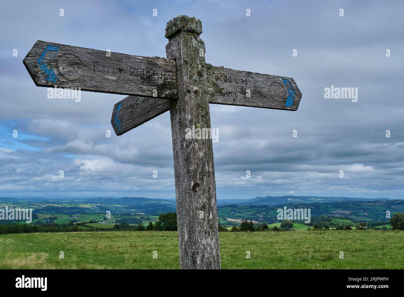 Incrocio tra sentieri su Kerry Ridgeway, Powys, Galles Foto Stock