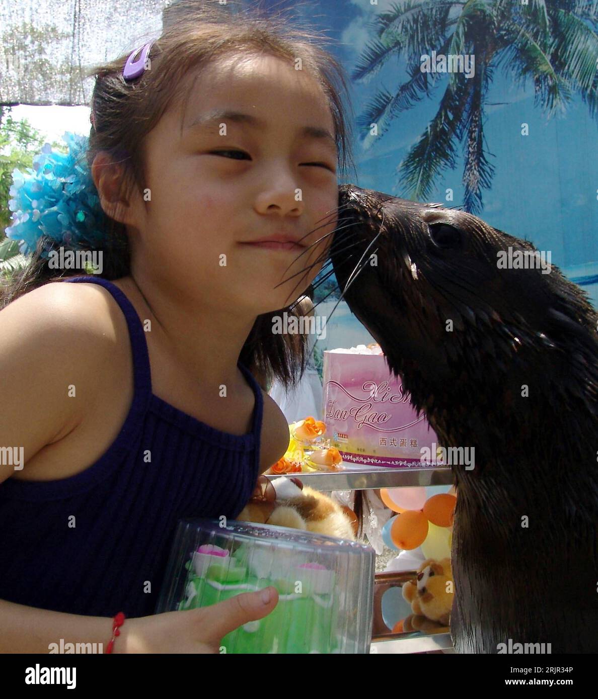 Bildnummer: 51282909 Datum: 01.06.2006 Copyright: imago/Xinhua Seehund küsst ein Mädchen auf die Wange anlässlich der für ihn gehaltenen Geburtstagsfeier im Wildlife World Park a Chongqing PUBLICATIONxNOTxINxCHN , Personen , Tiere; 2006, Chongqing, Kind, Kinder, Seehunde, küssend, küssend, küssen, Kuss, Säugetiere, Geburtstag, Geburtstage; , hoch, Kbdig, Einzelbild, Cina, , Foto Stock