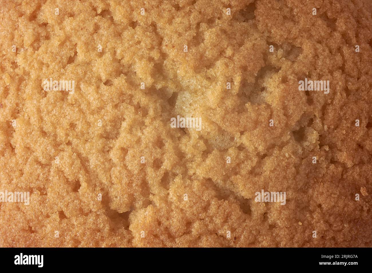 primo piano della superficie della torta, strato superiore dorato di torta di spugna, tazza o torta fatata o muffin, struttura a cornice intera, sfondo alimentare Foto Stock