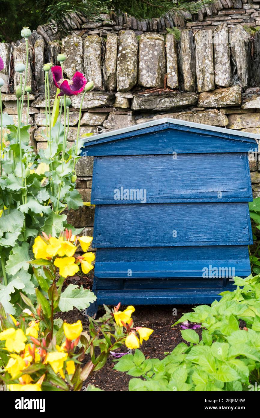 Un tradizionale alveare di legno blu di fronte ad un muro di pietra a secco in un giardino fiorito durante l'estate. Foto Stock