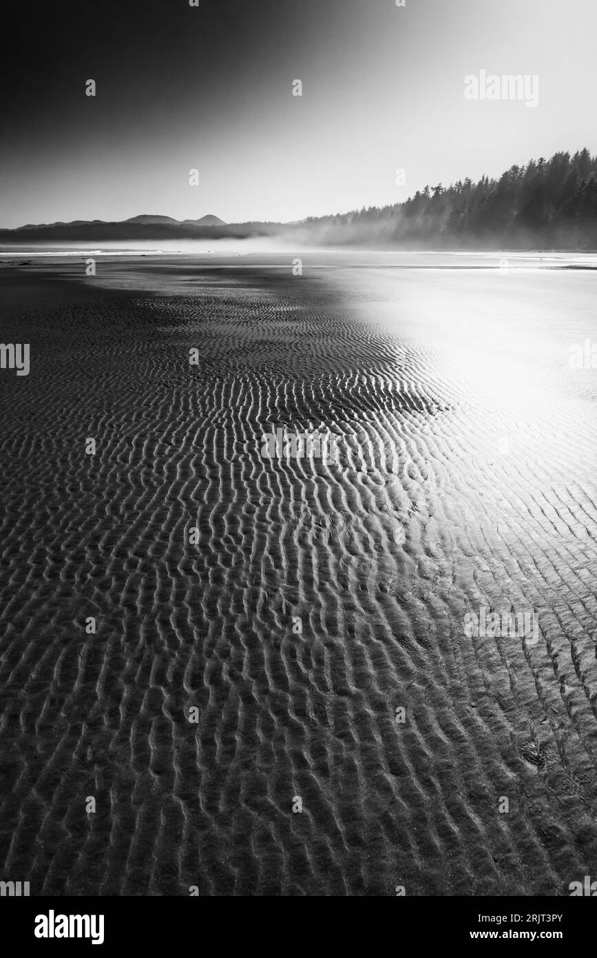 Bassa marea sulla spiaggia di Shi Shi all'Olympic National Park, Stato di Washington, Stati Uniti Foto Stock