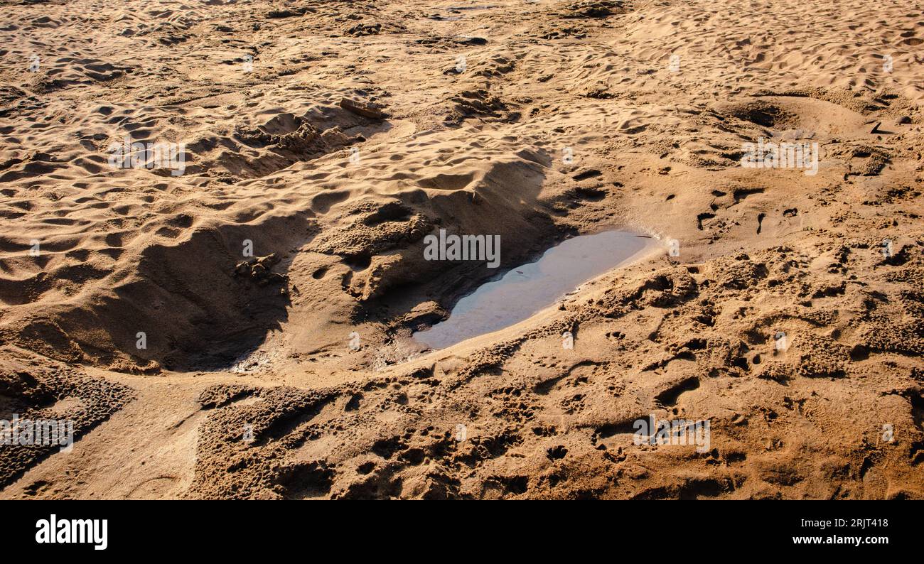 Scatto ad angolo elevato di una piccola pozzanghera su una superficie marrone sabbiosa Foto Stock