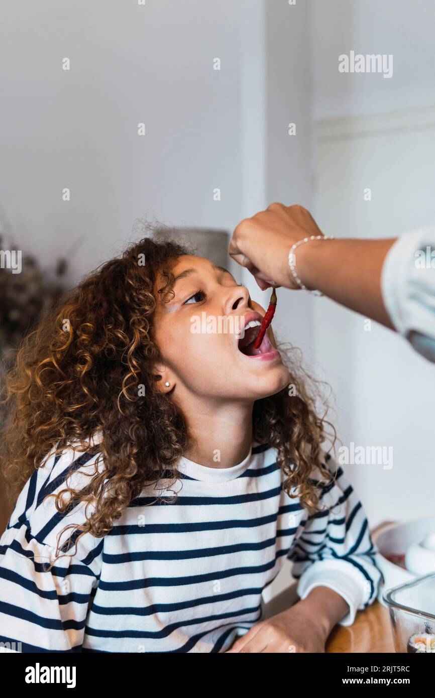 Ragazza che cerca di mangiare peperoncino caldo tenuto dalla mano della madre Foto Stock