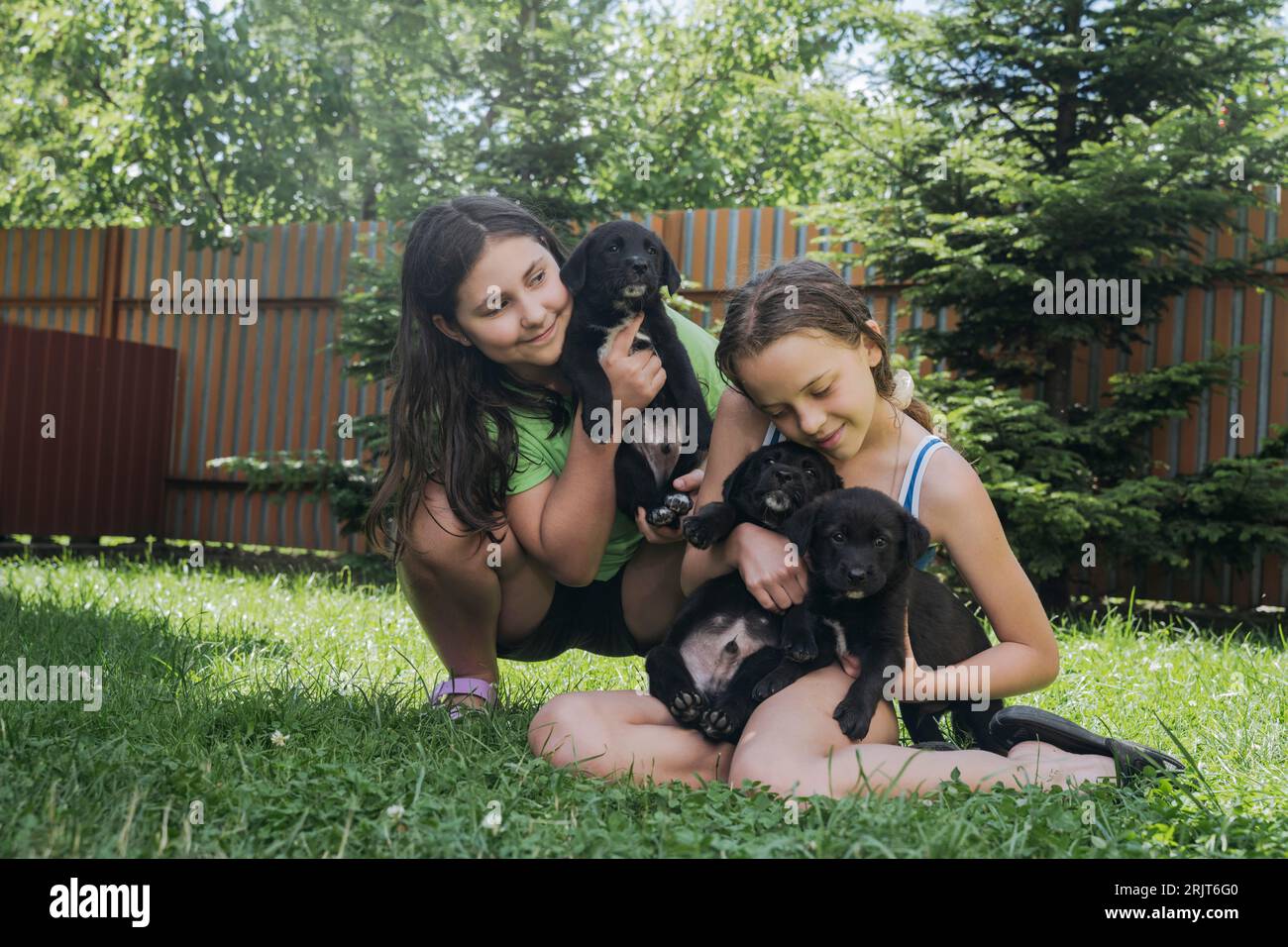 Amici sorridenti che giocano con i cani nel cortile sul retro Foto Stock