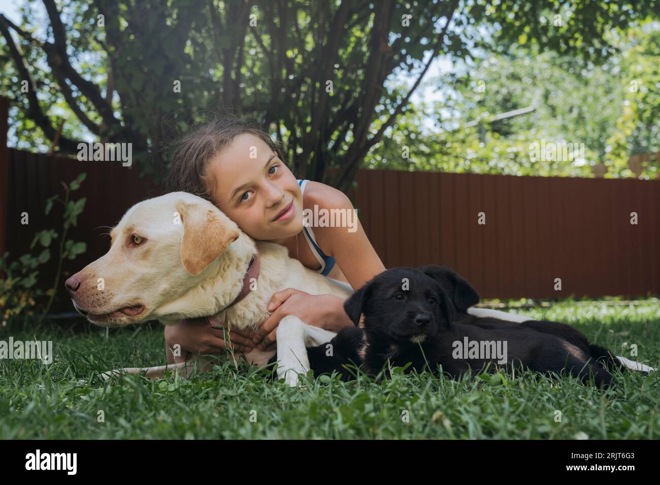 Ragazza sorridente che abbraccia i cani nel cortile posteriore Foto Stock