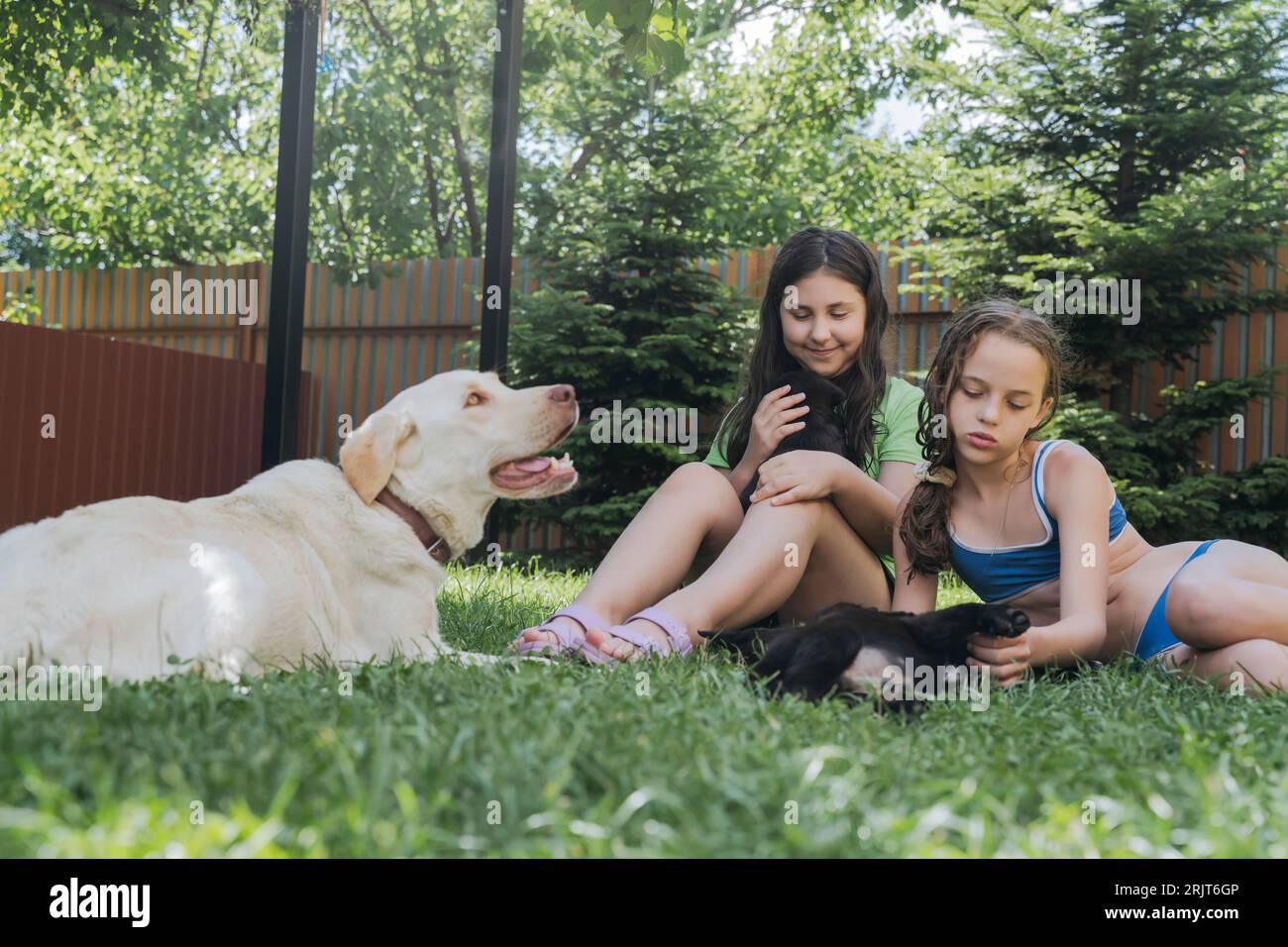 Amici che trascorrono il tempo libero con i cani sull'erba nel cortile sul retro Foto Stock