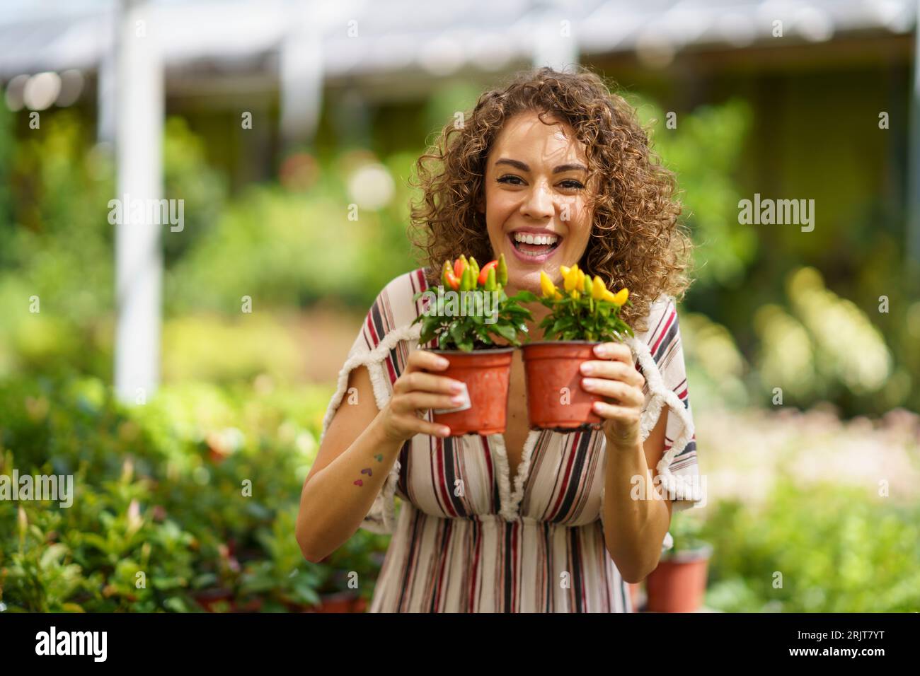 Donna felice che tiene piante di pepe rosso e giallo in vivaio Foto Stock