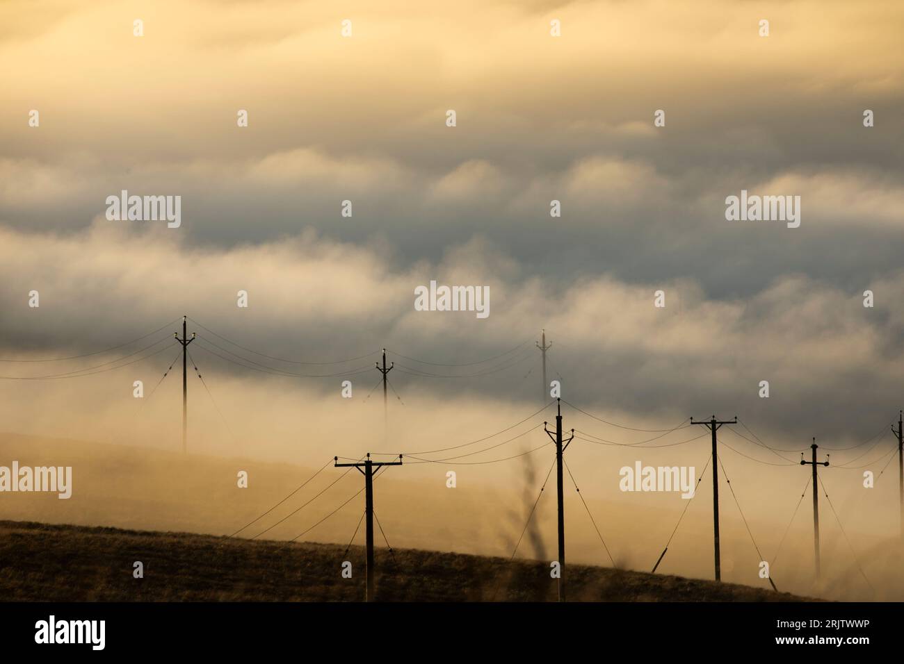 Pali e fili del telegrafo che emergono dalla nebbia sulla vetta di Hartside nei North Pennines tra Penrith e Alston, 1995 piedi di altezza, Cumbria, Inghilterra Foto Stock
