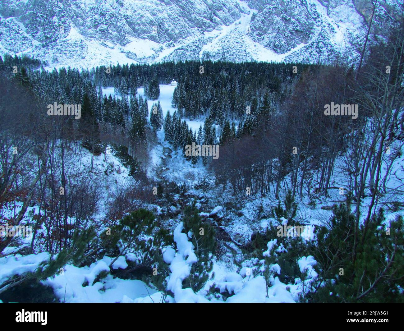 Vista invernale del torrente roccioso di Nadiza nella valle di Tamar nelle alpi Giulie nella regione di Gorenjska in Slovenia, con la foresta di conifere che copre il fondo valle Foto Stock