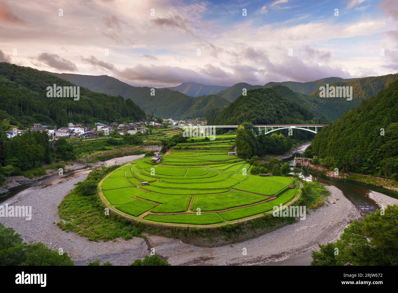 Terrazza di riso Aragijima a Wakayama, Giappone. Foto Stock