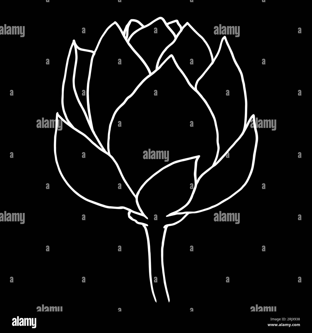Illustrazione grafica grafica vettoriale con linea nera di fiori di loto disegnati a mano. Disegno floreale con contorno bianco per logo, tatuaggio, design della confezione, composizioni. Acqua Illustrazione Vettoriale