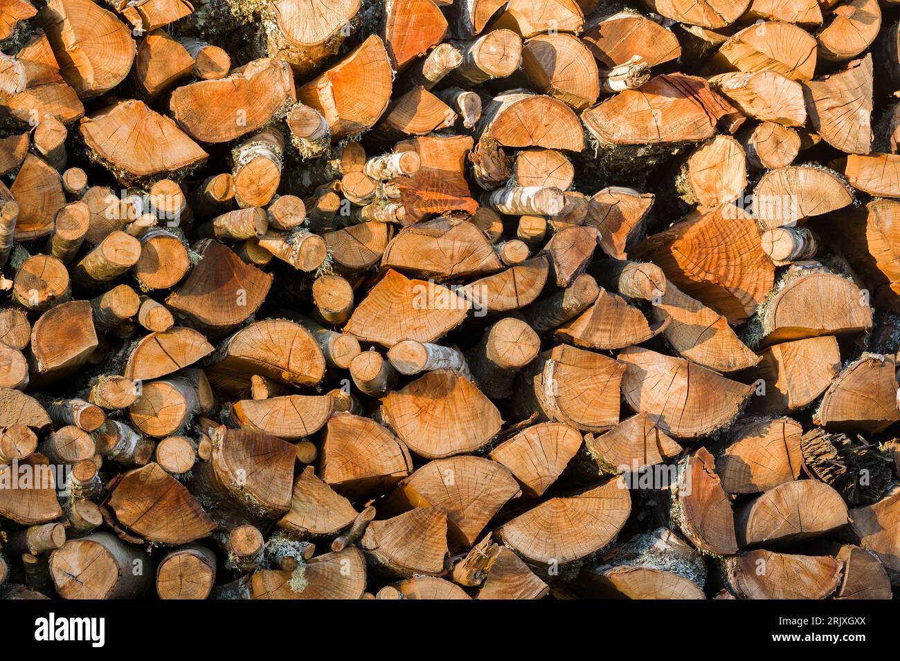 Sfondo di una pila di legna tagliata Foto Stock