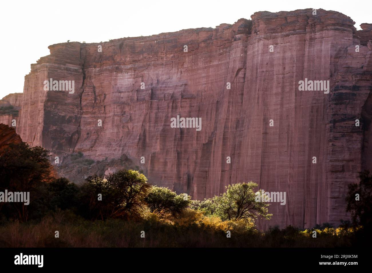 La Rioja, argentina. 21 agosto 2023. Parque Nacional Talampaya prima del Desafio Ruta 40 2023, 4° round del Campionato Mondiale Rally-RAID 2023, agosto 2023 a la Rioja, Argentina - foto Julien Delera/DPPI Credit: DPPI Media/Alamy Live News Foto Stock