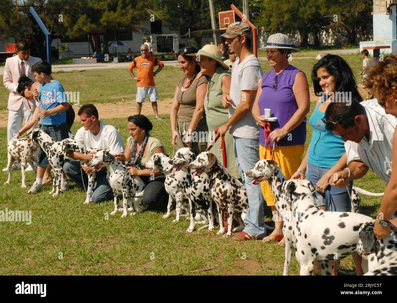 Bildnummer: 52499220 Datum: 12.04.2008 Copyright: imago/Xinhua Teilnehmer mit ihren Dalmatinern bei der 4. Hundeschau in Havanna - PUBLICATIONxNOTxINxCHN , Personen , Tiere; 2008, Havanna, Kuba, Hund, Dalmatiner, Säugetiere; quer, Kbdig, , , Mittelamerika o0 totale Foto Stock