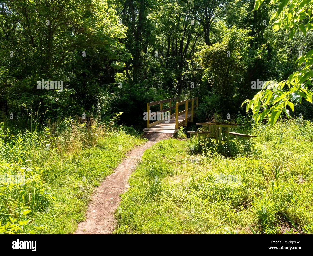 sentiero escursionistico in una soleggiata giornata primaverile nel parco Foto Stock