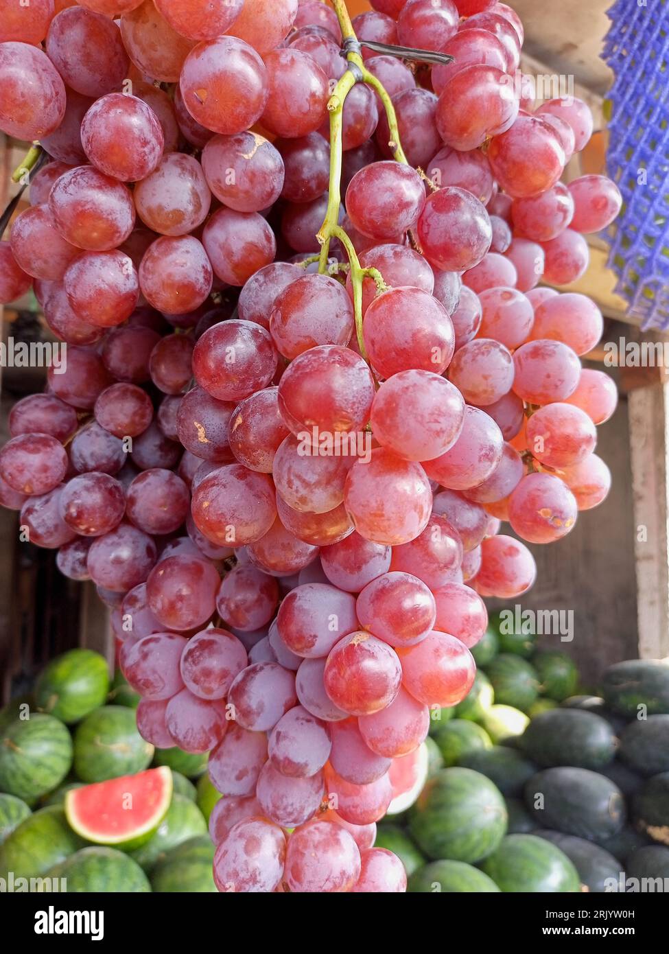 Grappoli freschi di uva rossa sono appesi al negozio di frutta Foto Stock