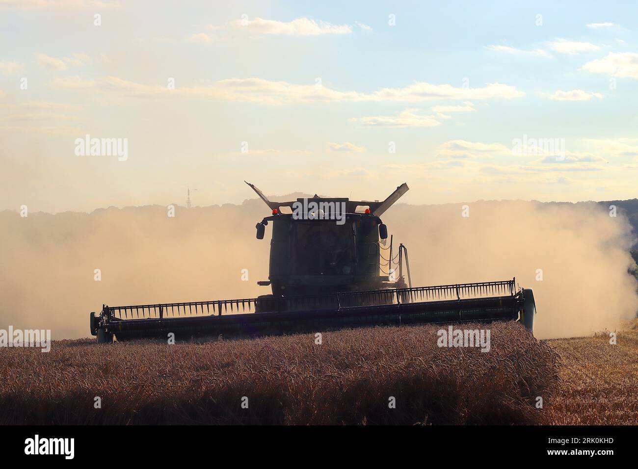 In un campo del Buckinghamshire, i lavoratori agricoli lavorano duramente per raccogliere un raccolto di grano con circa 90 minuti di luce diurna rimasti prima del tramonto. Foto Stock