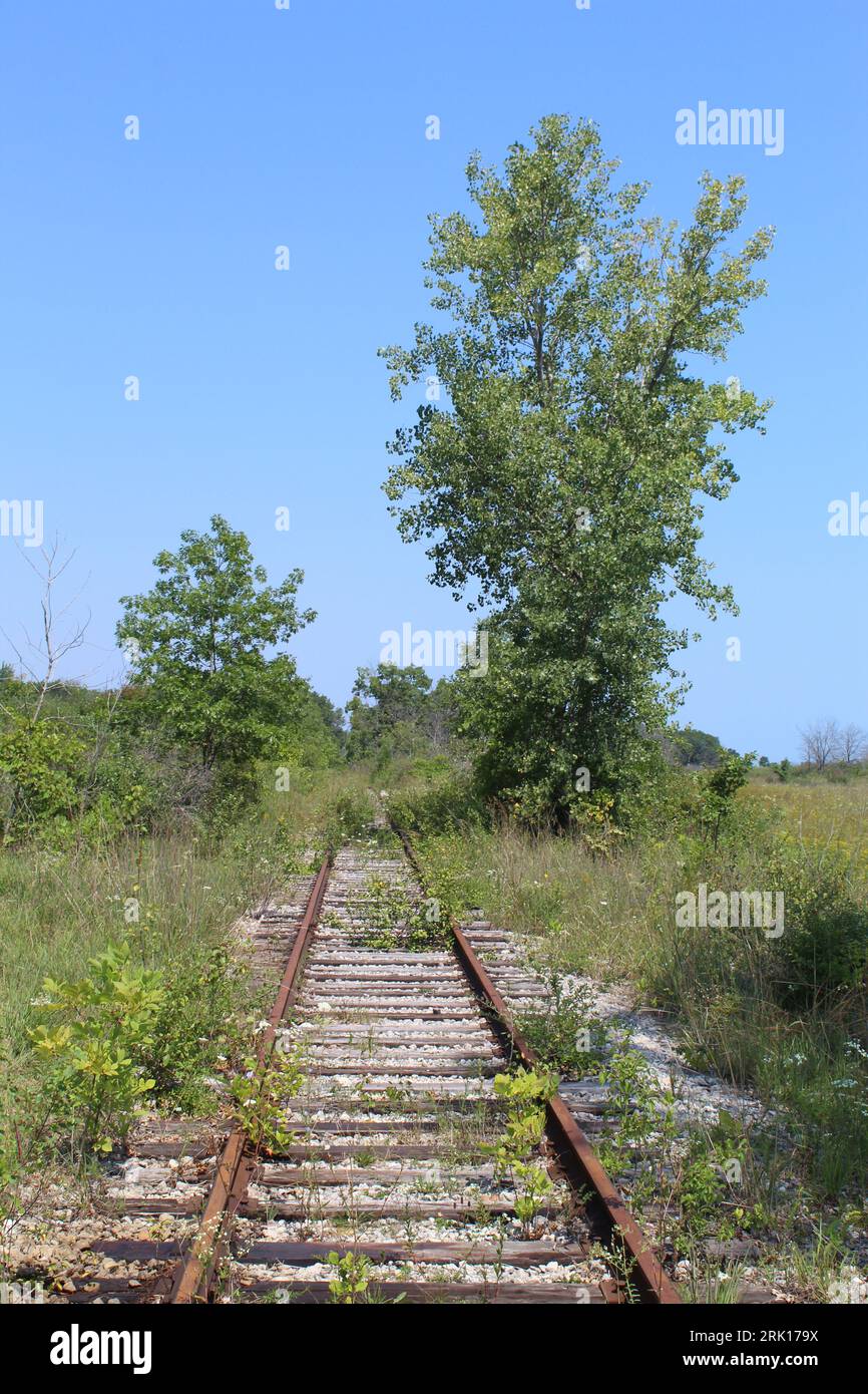 Binario ferroviario abbandonato con un albero di cottonwood e quercia accanto ad esso all'esterno della centrale nucleare di Zion in Illinois Foto Stock