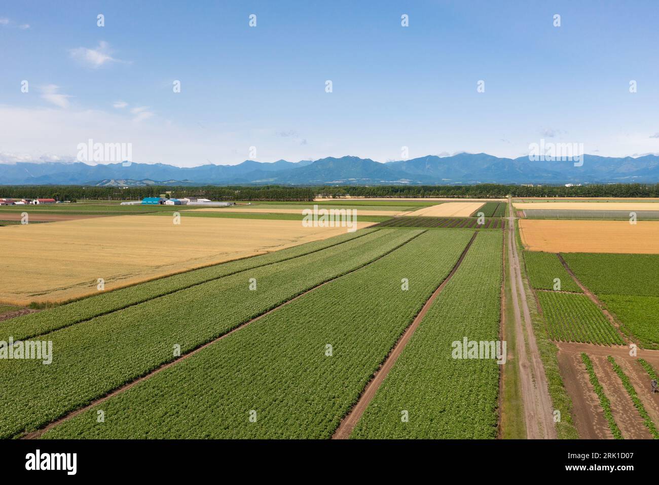 Veduta aerea della piana di Tokachi, Hokkaido, Giappone Foto Stock