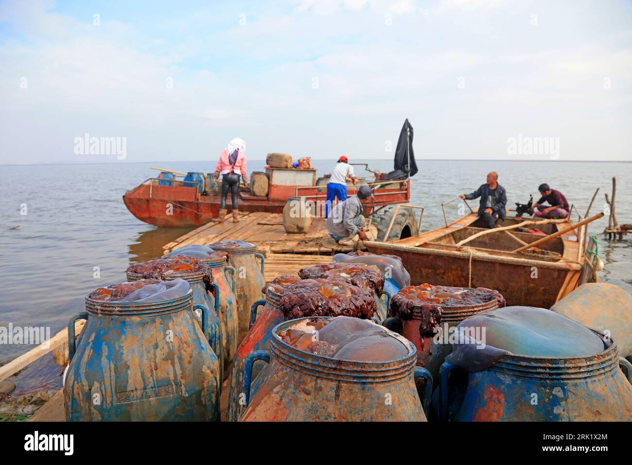 CONTEA DI LUANNAN, Cina - 20 settembre 2018: I pescatori catturano meduse coltivate in stagni di acquacoltura, CONTEA DI LUANNAN, provincia di Hebei, Cina Foto Stock