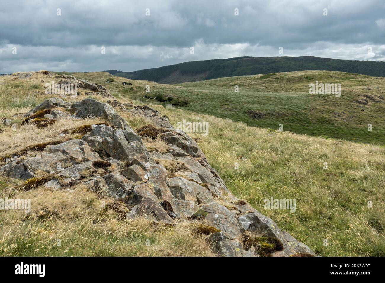 Rocks on the Hill, National Park, Lake District UK Foto Stock