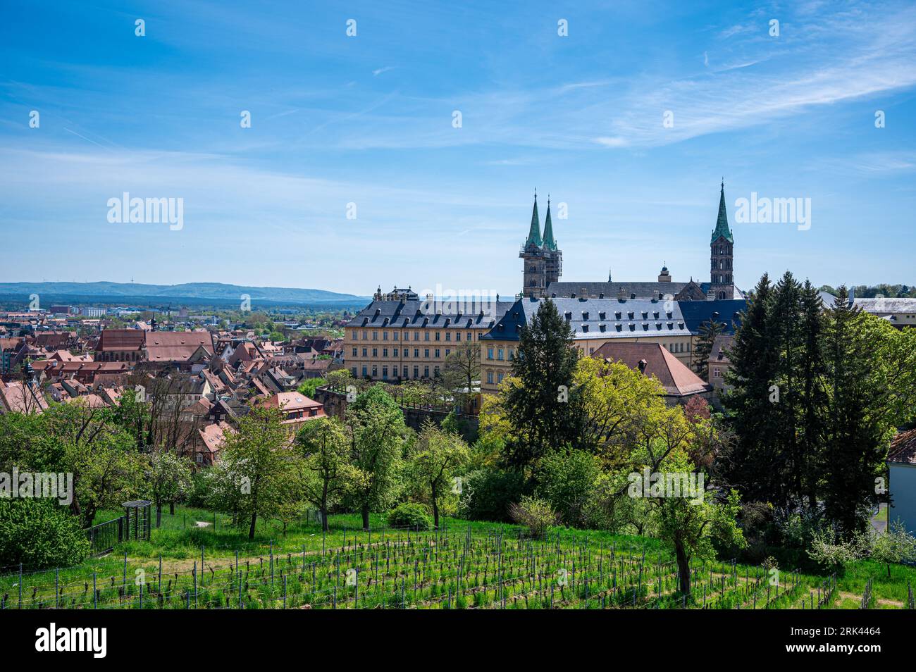 Vista sui vigneti e sulla storica città vecchia di Bamberga, Germania Foto Stock