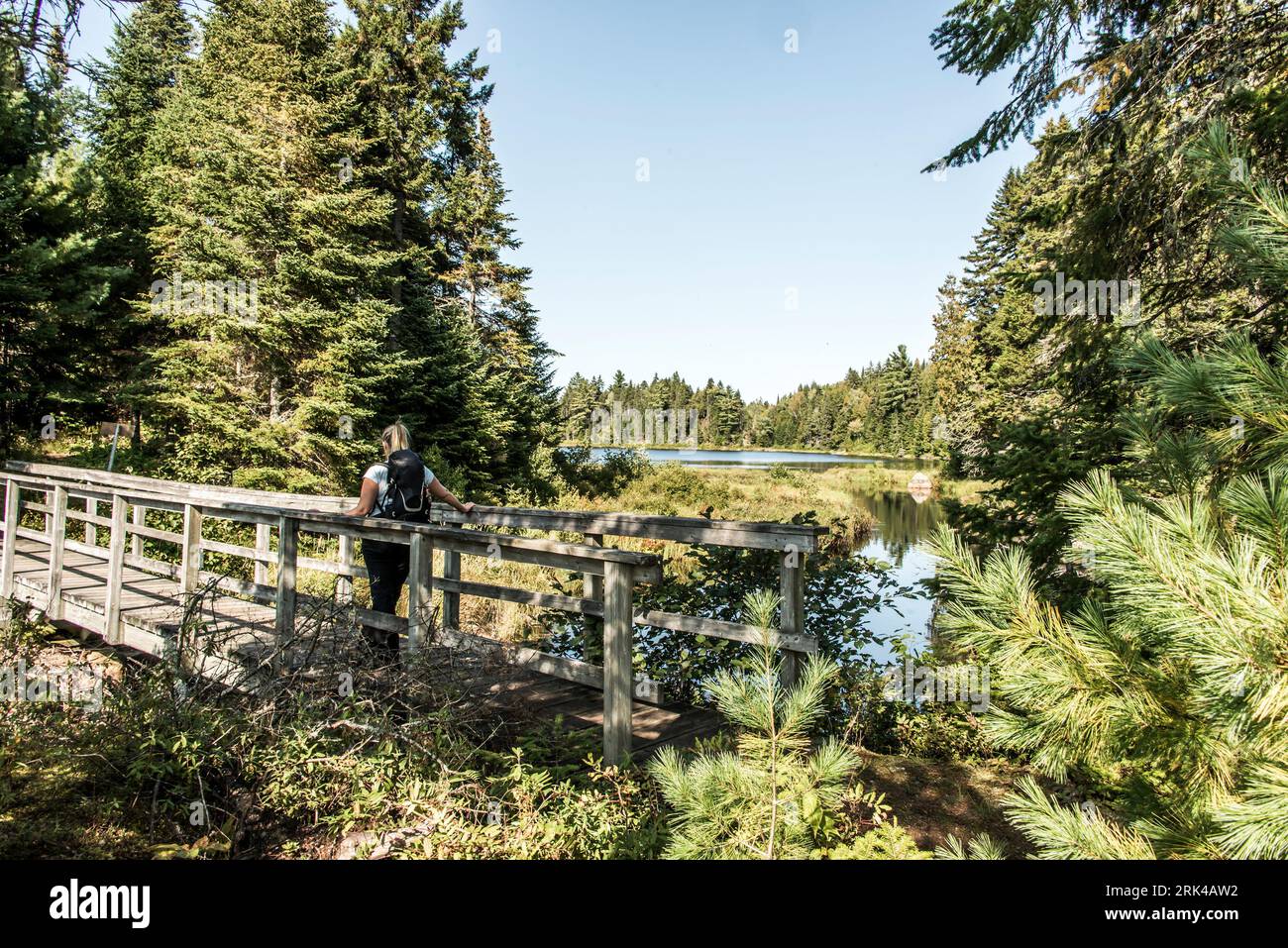 Ragazza che fa escursioni nella foresta vicino al lago nel Parco nazionale la Mauricie di Quebec, Canada, in una splendida giornata. Foto Stock