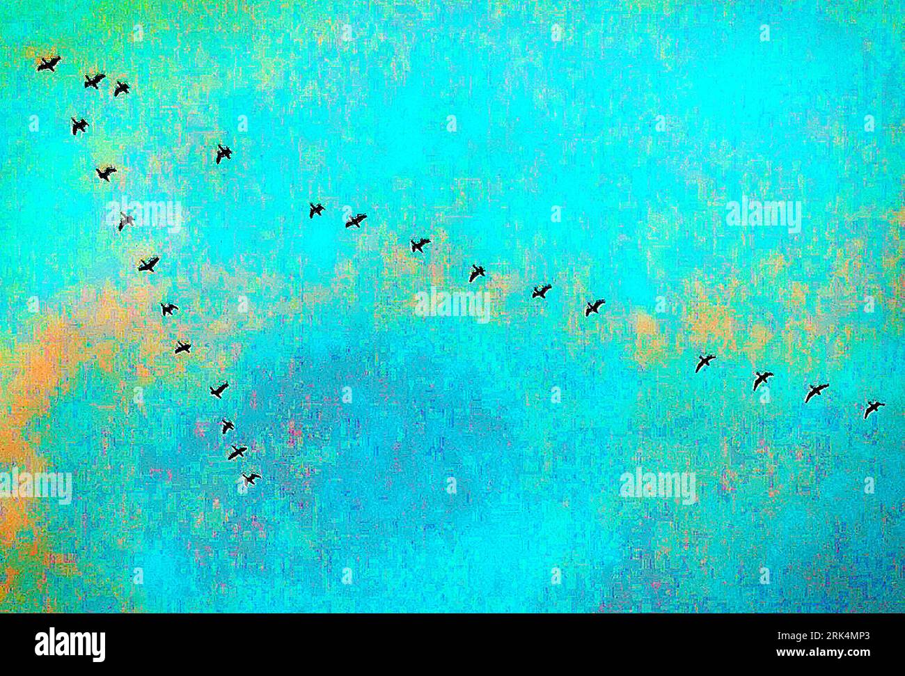 Un gregge di uccelli contro un cielo blu. Immagine grintosa con molto rumore. Sfondo blu Foto Stock